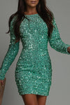 Elegant Glitter Mini Party Dress 6